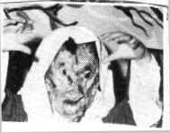 Shockm.jpg (5104 bytes)